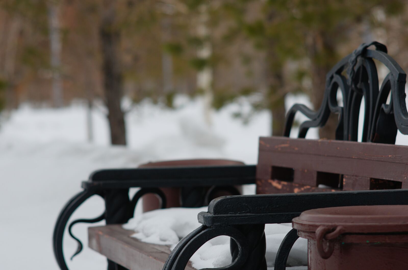 Nikon D300S sample photo. Winter, bench, snow photography