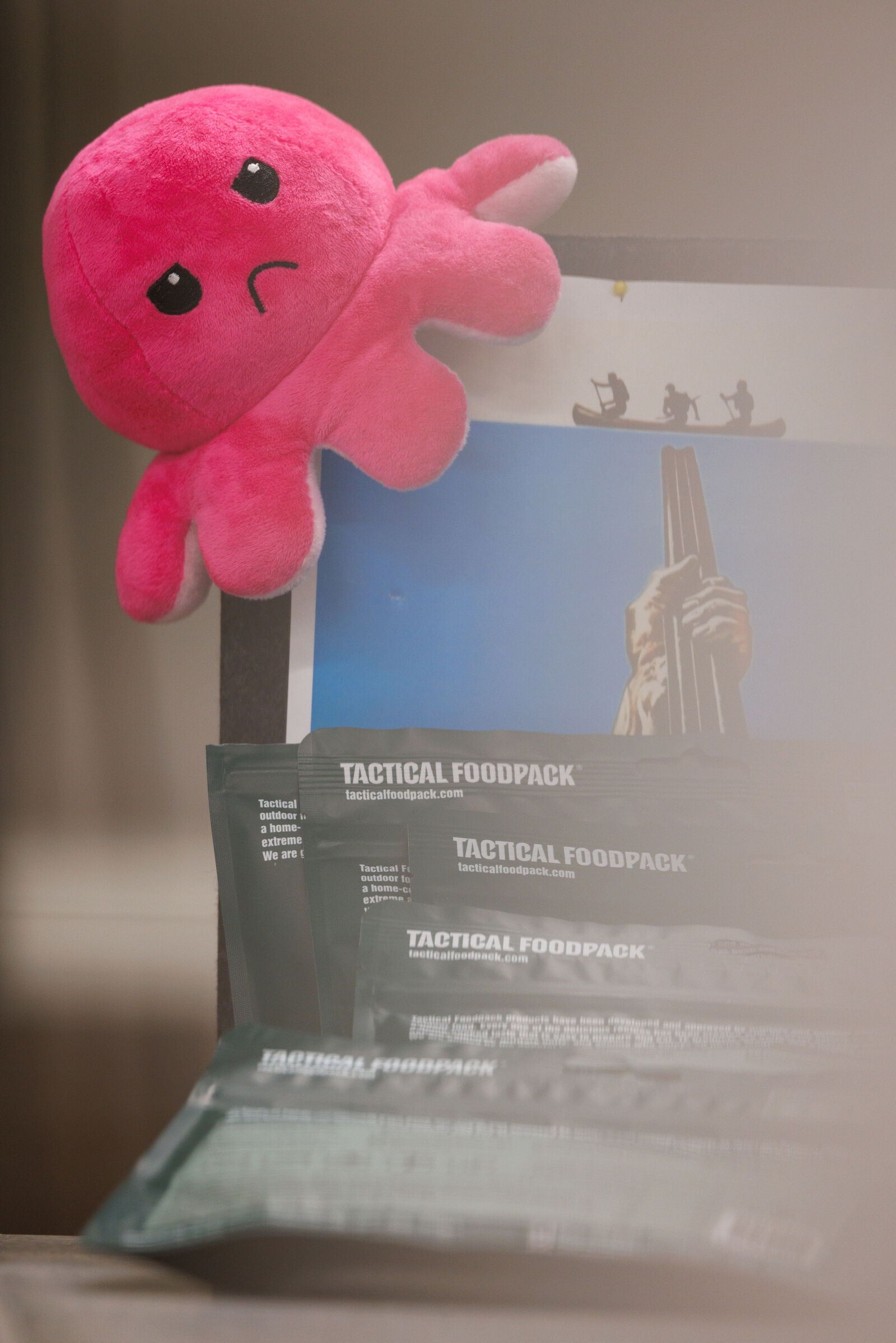 Canon RF 400mm F2.8L IS USM sample photo. Mood octopus photography