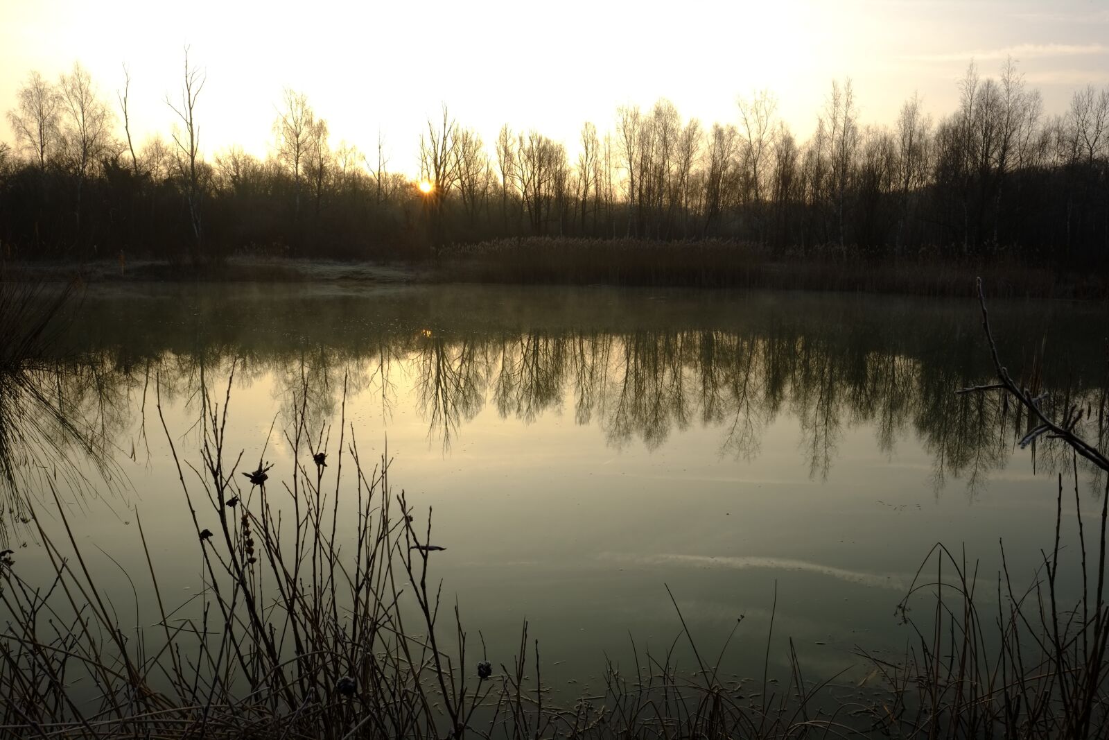 Fujifilm X-Pro1 + Fujifilm XF 16mm F1.4 R WR sample photo. Nature, water, landscape photography