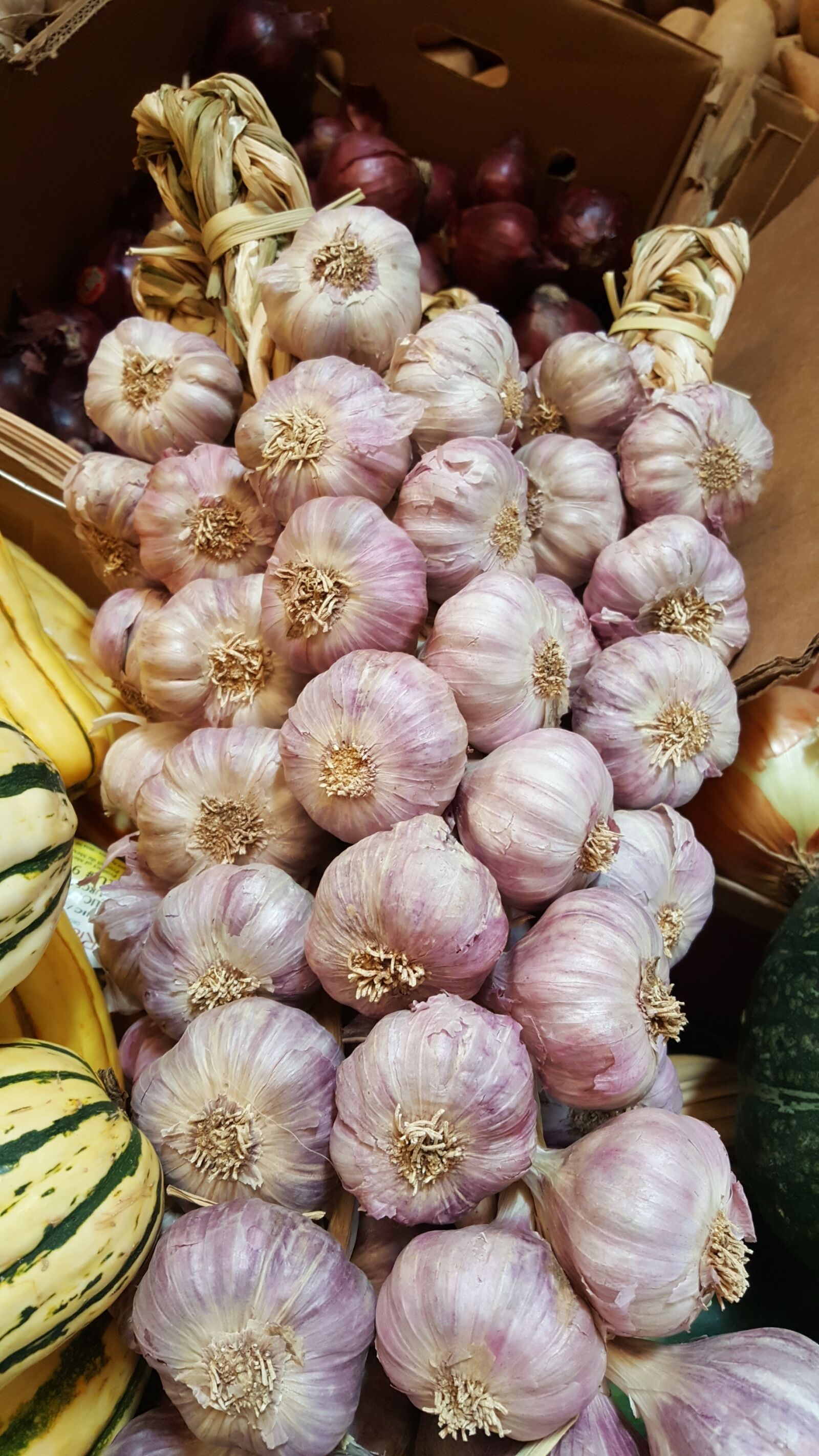 Samsung Galaxy S6 sample photo. Garlic, organic, market photography