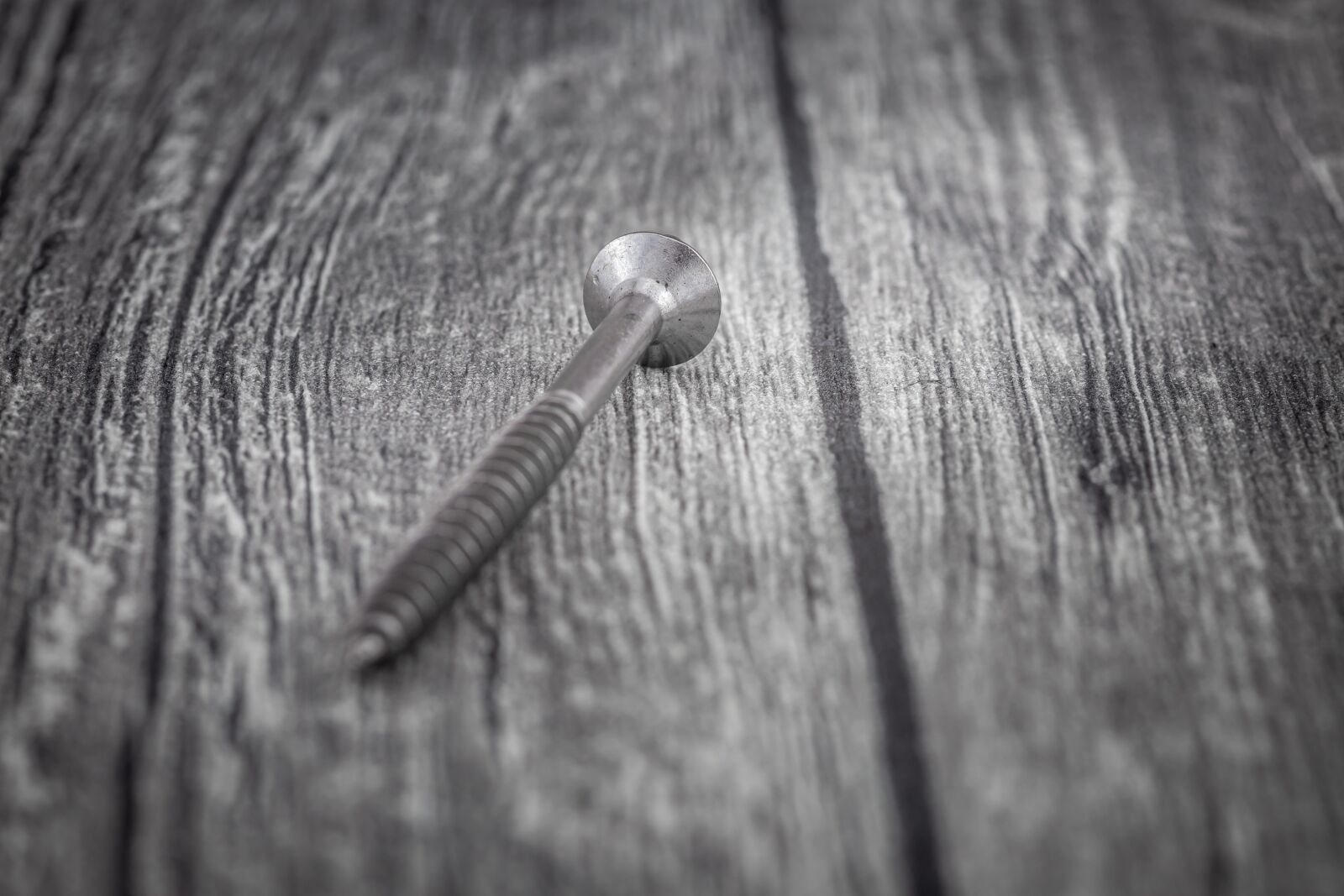 Canon EOS 6D sample photo. Stainless steel screw, stainless photography