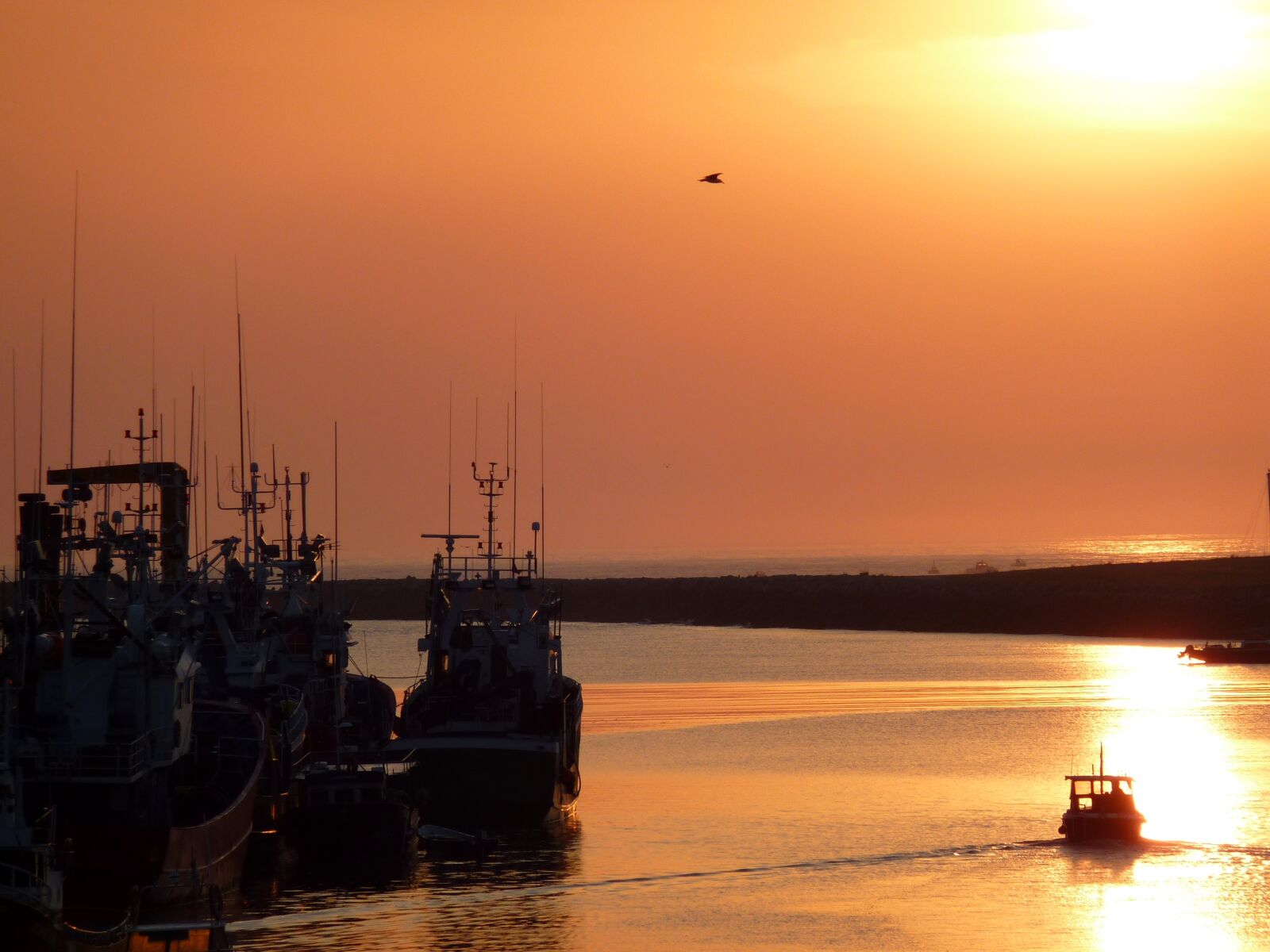 Panasonic DMC-TZ7 sample photo. Sunrise, fishing, boat photography