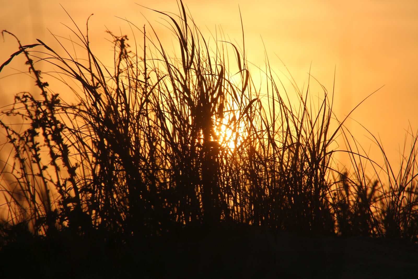 Canon EOS 700D (EOS Rebel T5i / EOS Kiss X7i) sample photo. Mimizan, sunset, sun photography