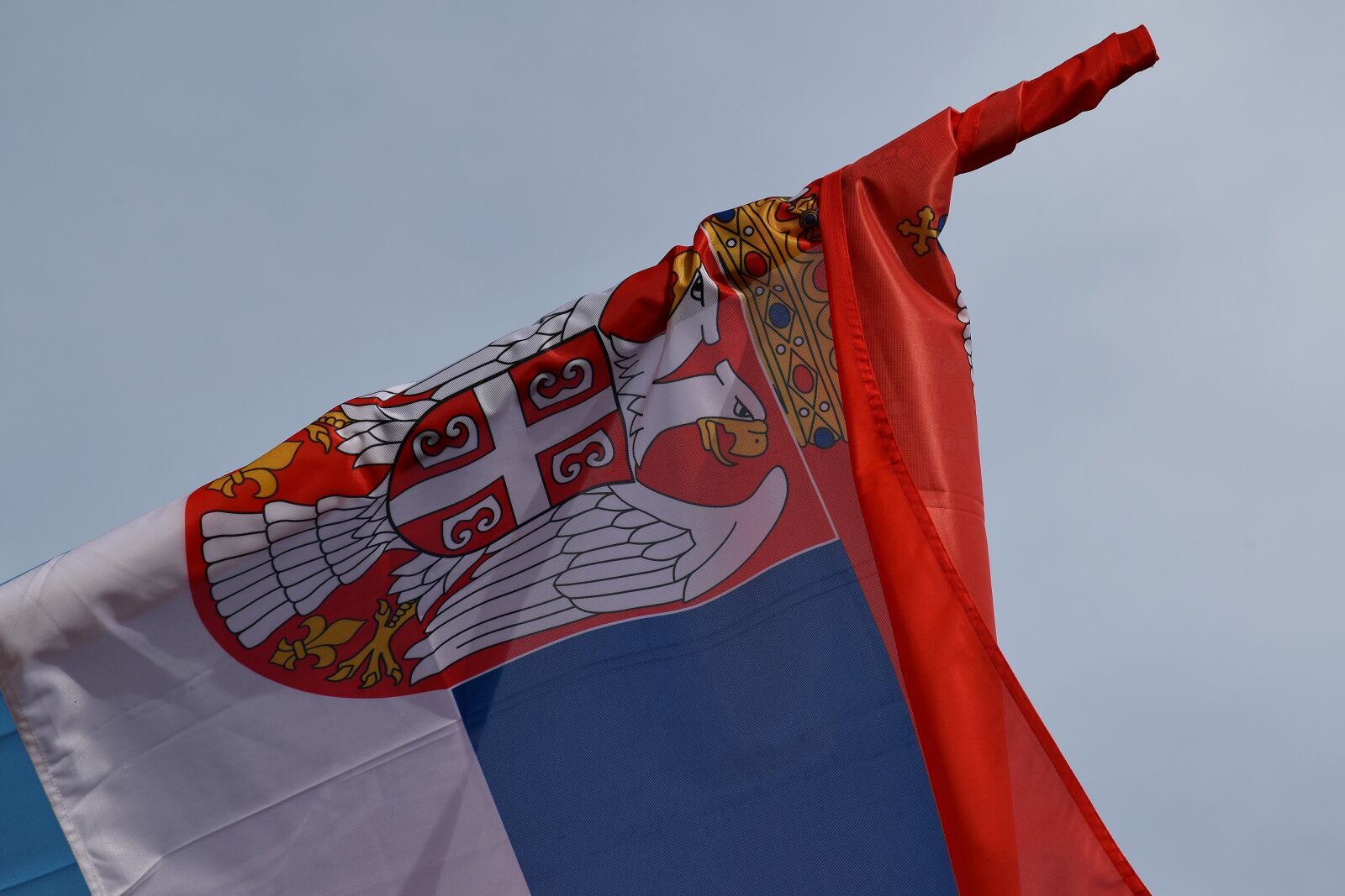 Nikon D5500 sample photo. Heraldry, serbia, flag, wind photography