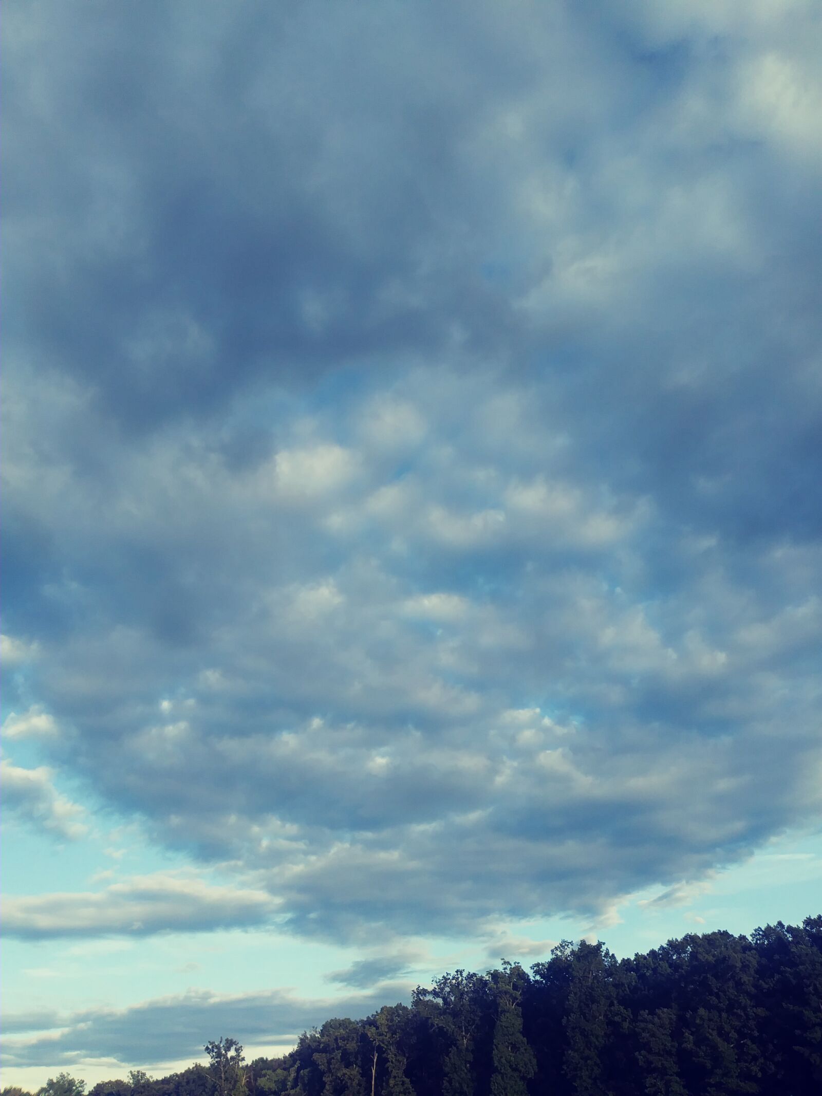 LG X CHARGE sample photo. Clouds, daylight, trees photography