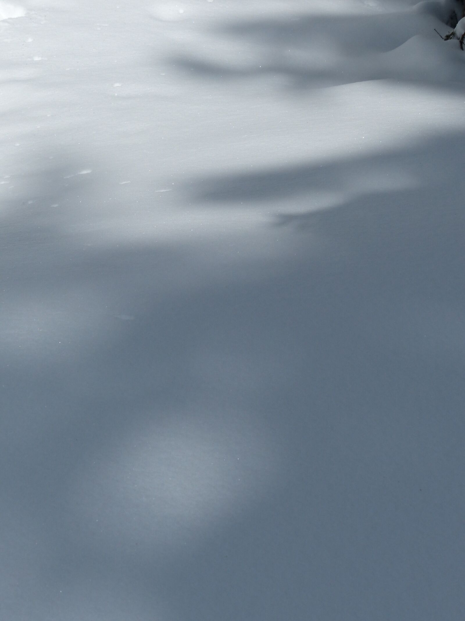 Panasonic Lumix DMC-FZ200 sample photo. Snow, winter, new zealand photography