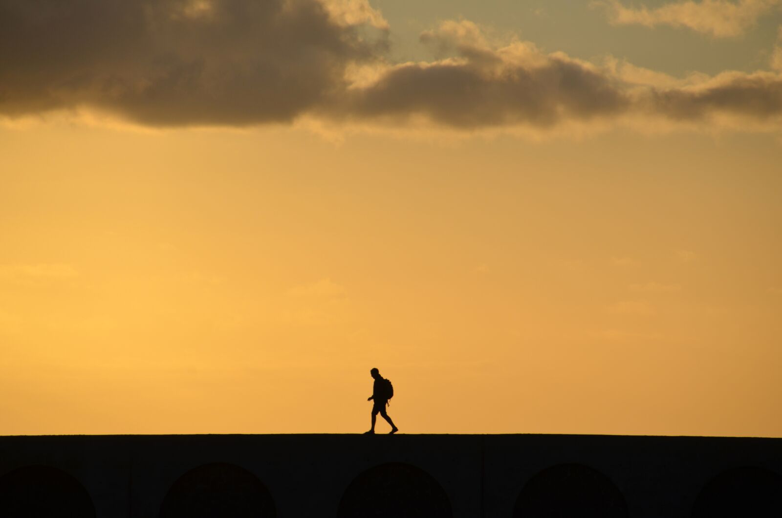 Nikon D5100 sample photo. Sunset, dawn, silhouette photography