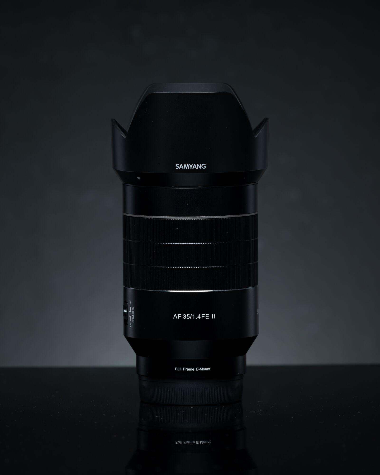 Nikon AF-S Nikkor 200-500mm F5.6E ED VR sample photo. Samyang af 35mm f1.4 photography