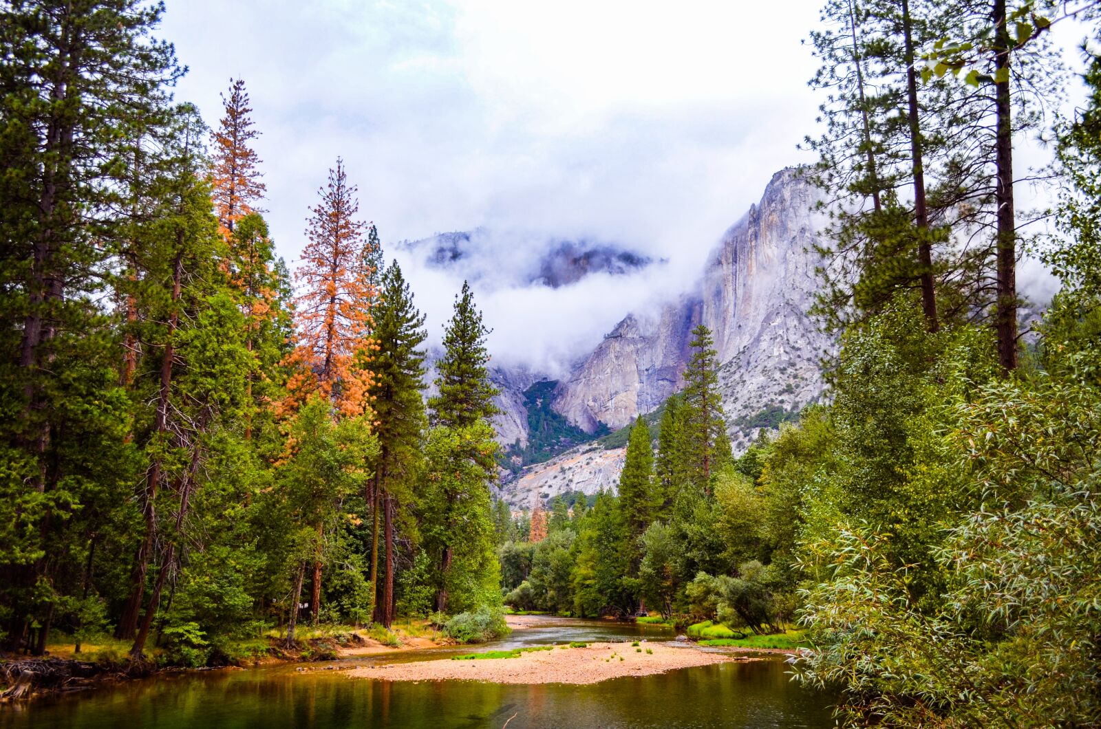 Nikon D5100 sample photo. Yosemite, valley, camping photography