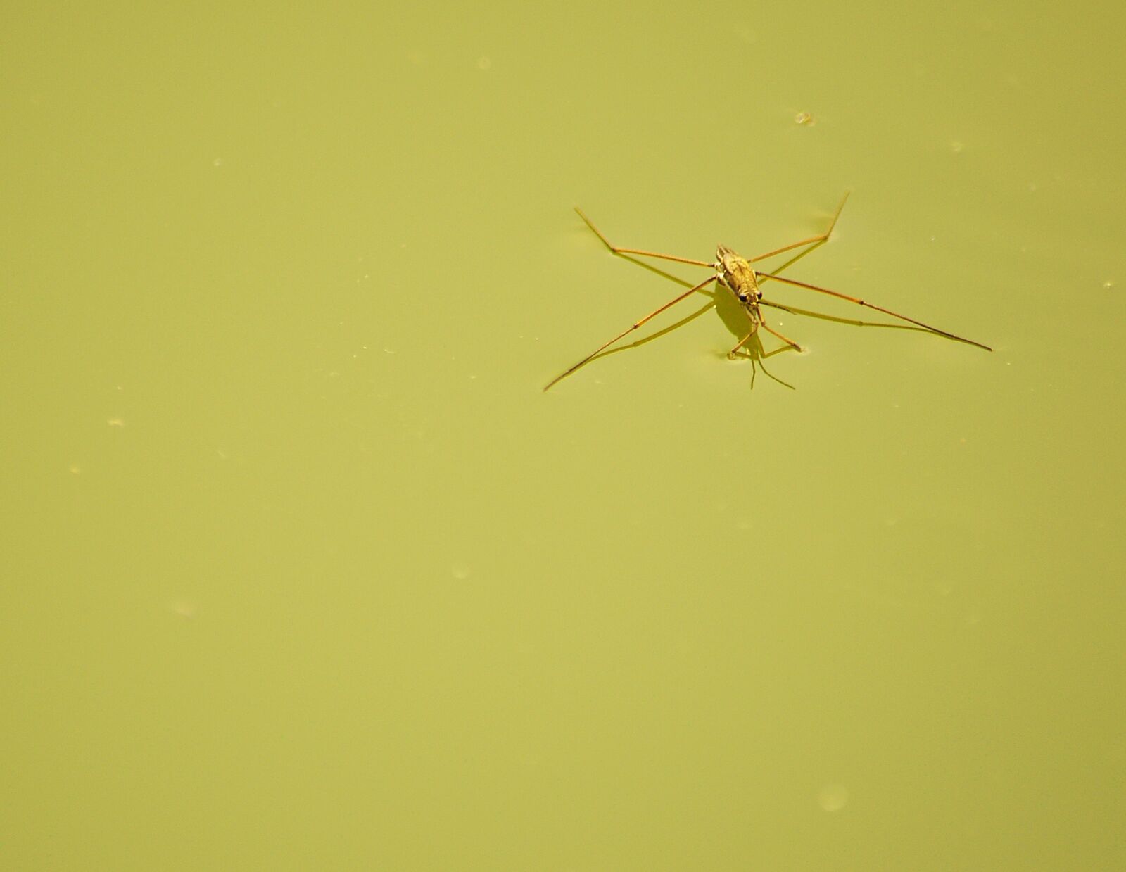 Nikon D90 sample photo. The water measurer, water photography