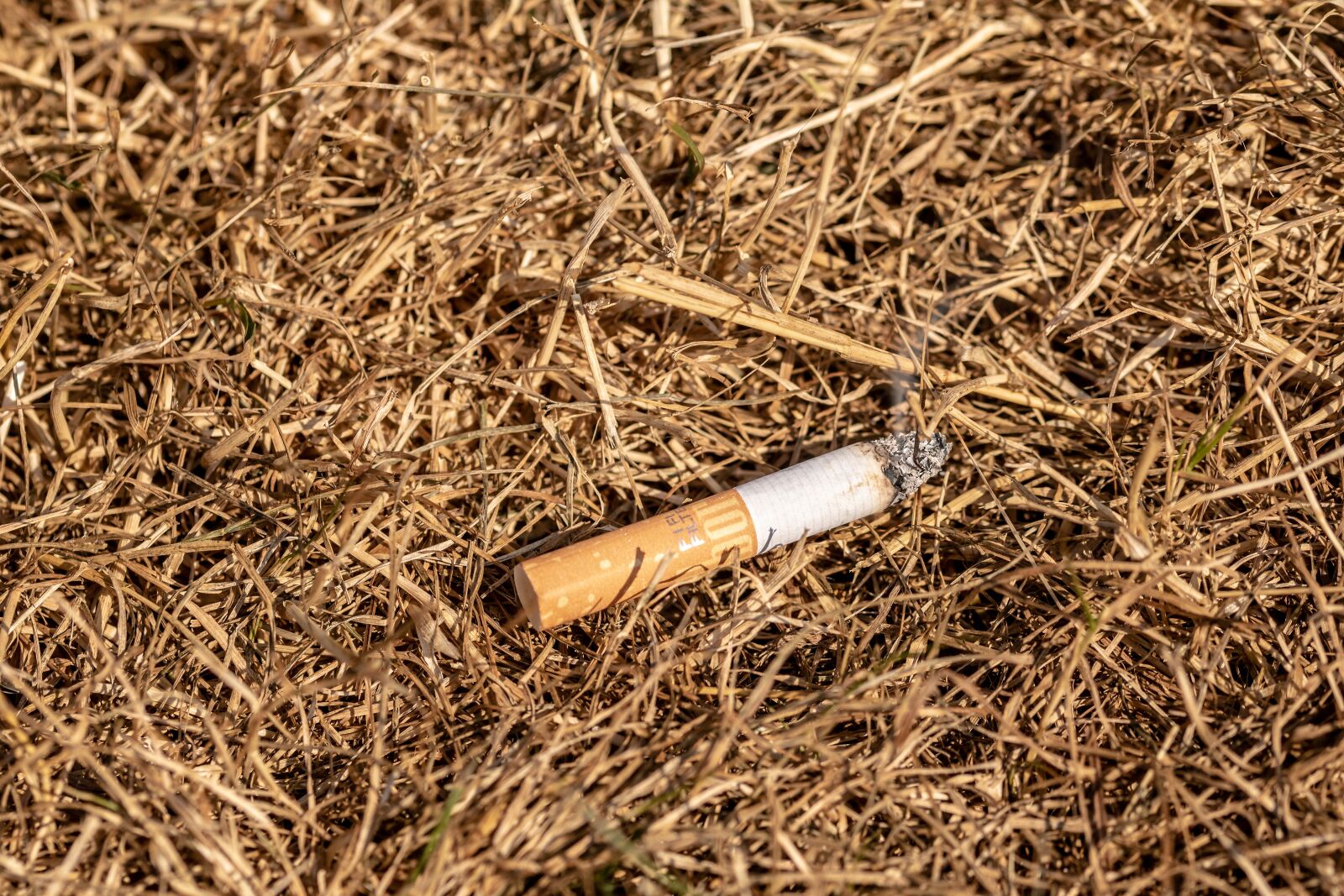 Canon EOS 750D (EOS Rebel T6i / EOS Kiss X8i) sample photo. Fire hazard, burning cigarette photography
