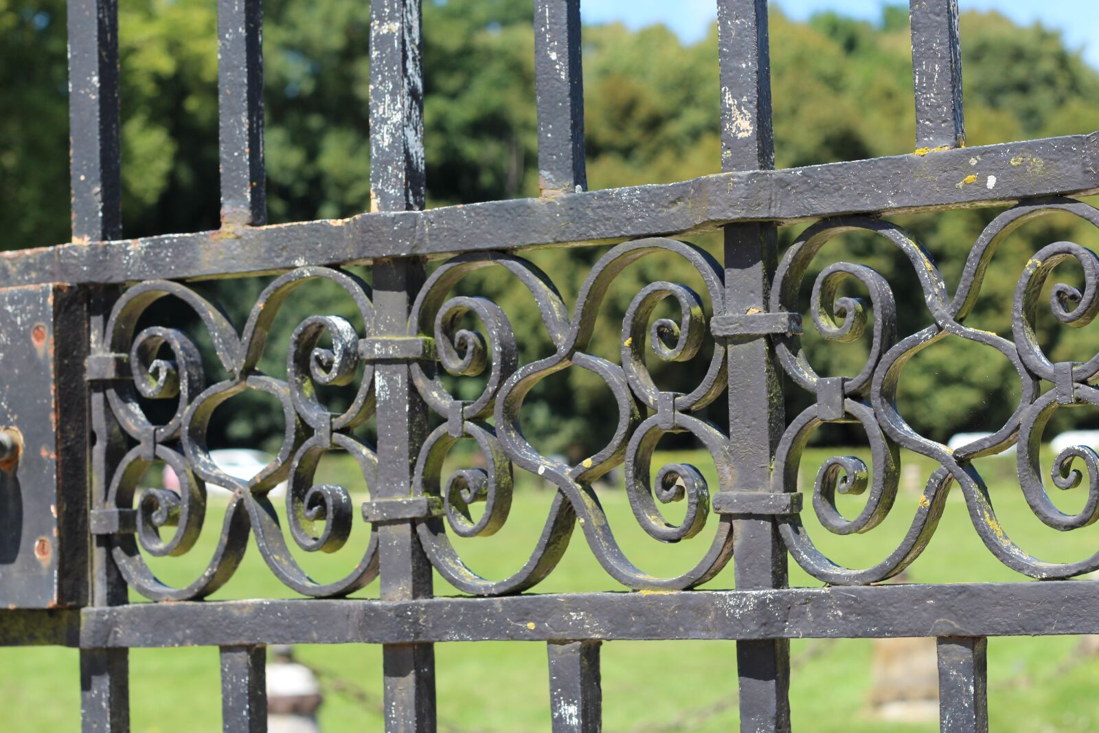 Canon EOS 650D (EOS Rebel T4i / EOS Kiss X6i) + Canon EF 50mm F1.8 II sample photo. Grid, ironwork, park photography