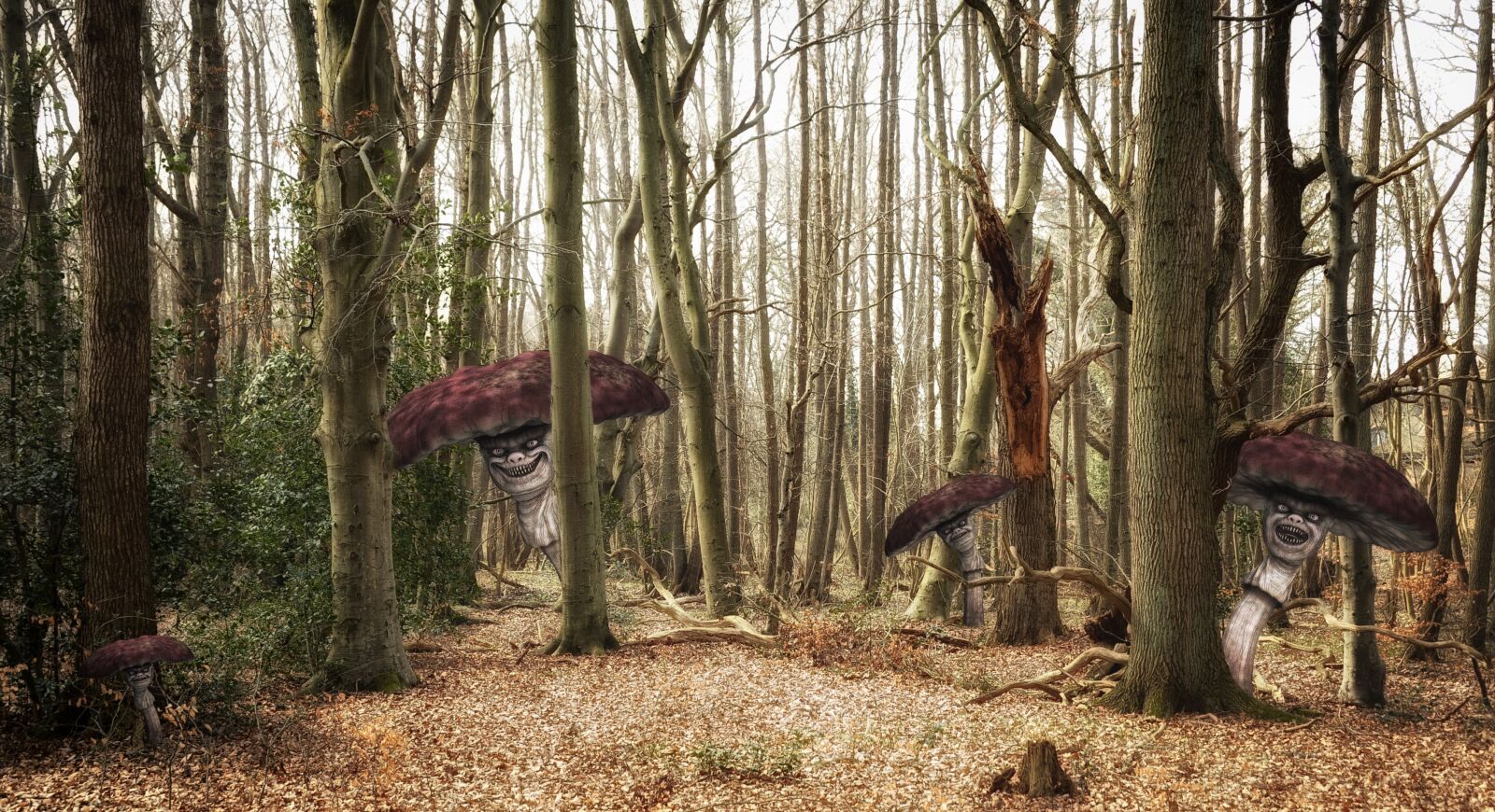Nikon D3S sample photo. Forest, trees, mushrooms photography