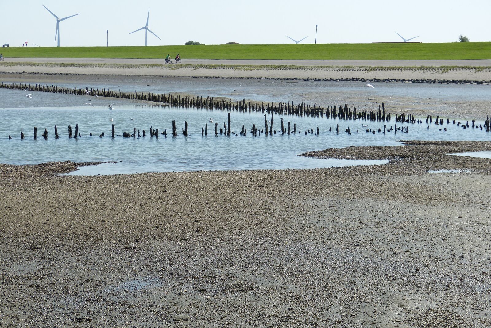 Panasonic Lumix DMC-FZ150 sample photo. North sea, neuharlingersiel, beach photography