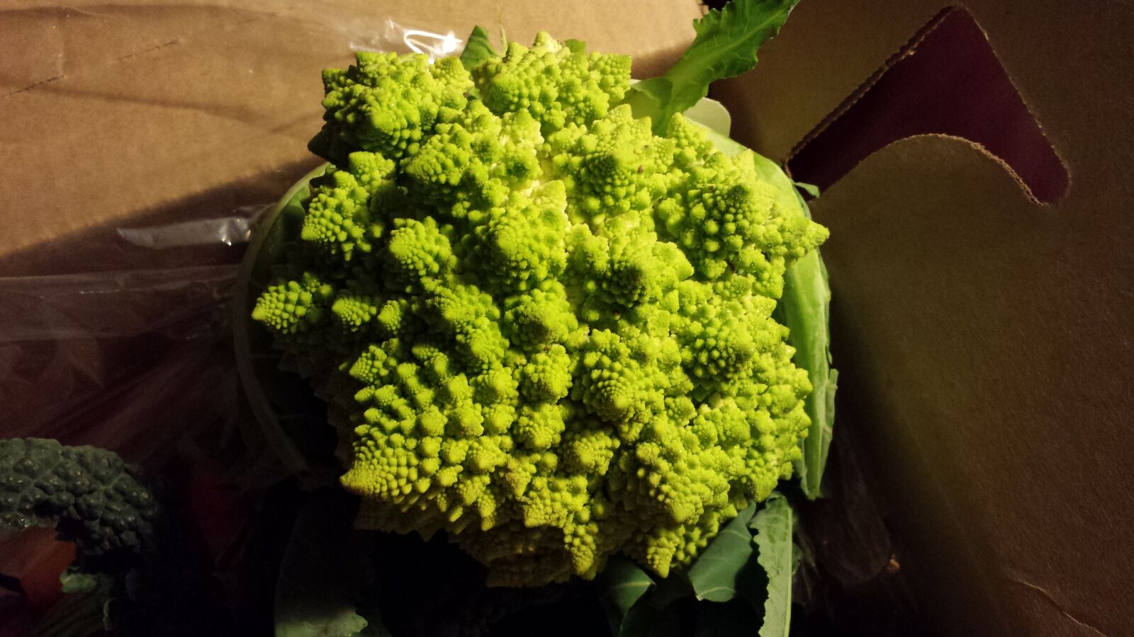 Samsung Galaxy S4 sample photo. Romanesco, cauliflower, low-carb photography