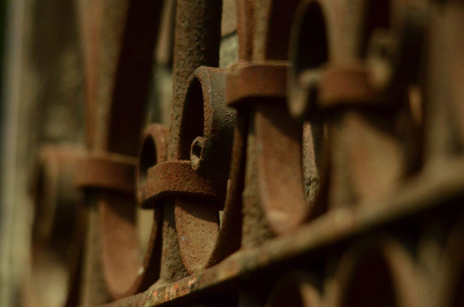 Nikon D7000 sample photo. Fence, lead, steel photography