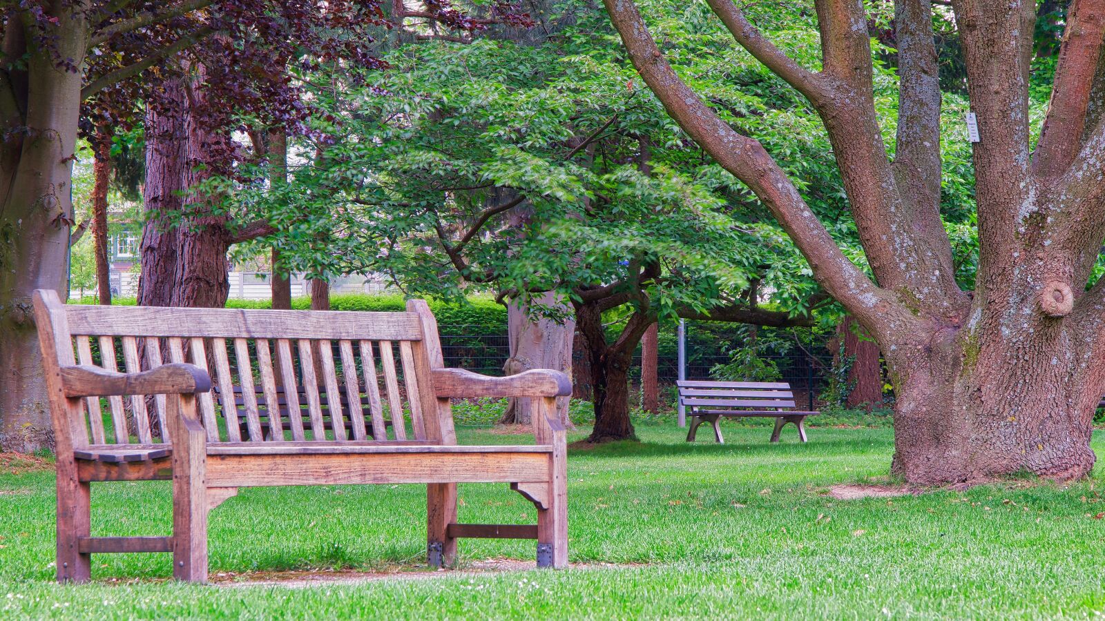 Nikon D5300 sample photo. Park bench, bank, wood photography