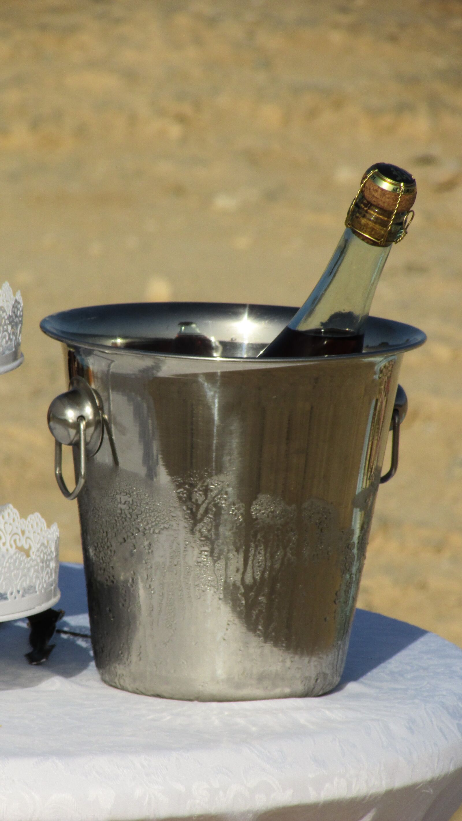 Canon PowerShot SX400 IS sample photo. Ice bucket, wine, party photography