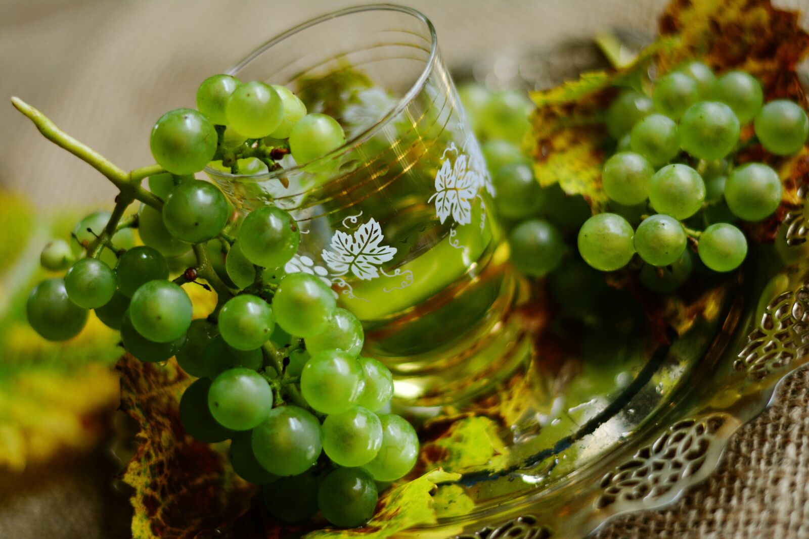 Nikon D5200 sample photo. Grapes, wine, white wine photography