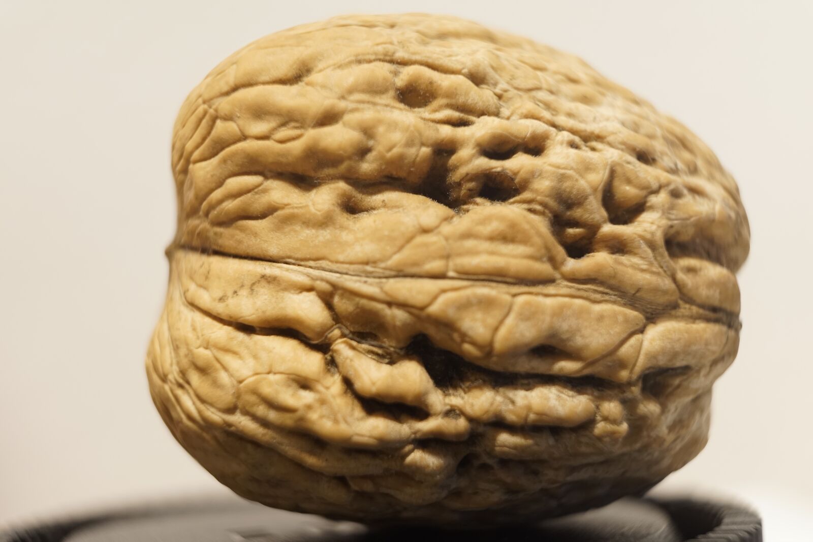 Sony a7 + Sony FE 28-70mm F3.5-5.6 OSS sample photo. Nut, walnut, shell photography