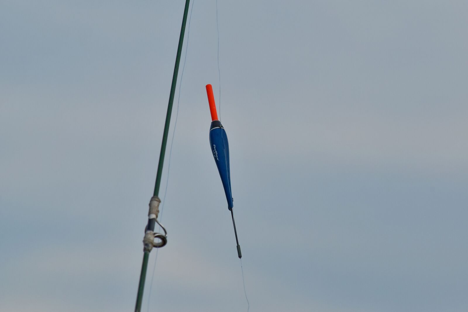 Nikon D5500 sample photo. Fishing gear, fishing rod photography