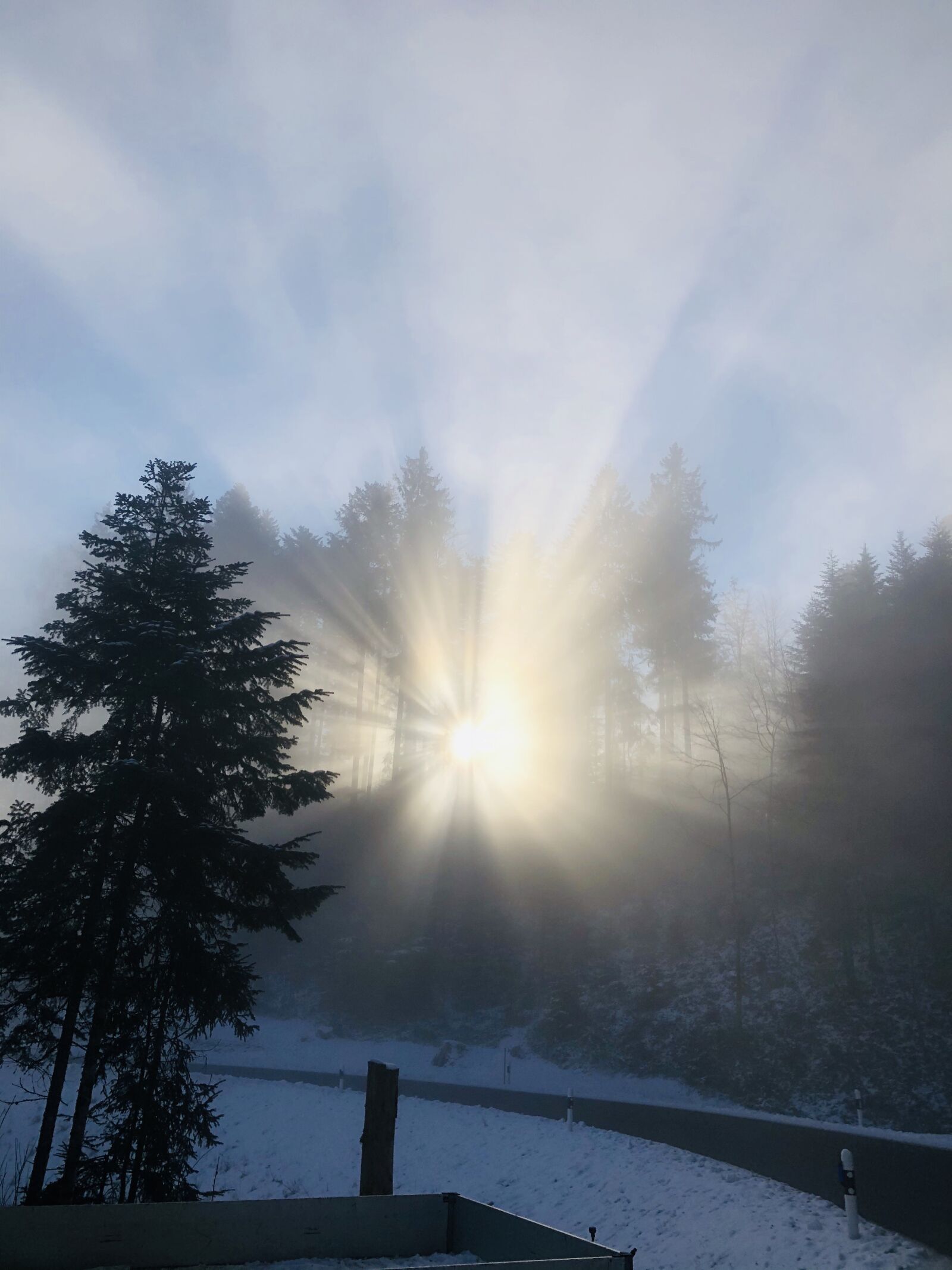 iPhone X back dual camera 4mm f/1.8 sample photo. Winter mood, sun behind photography