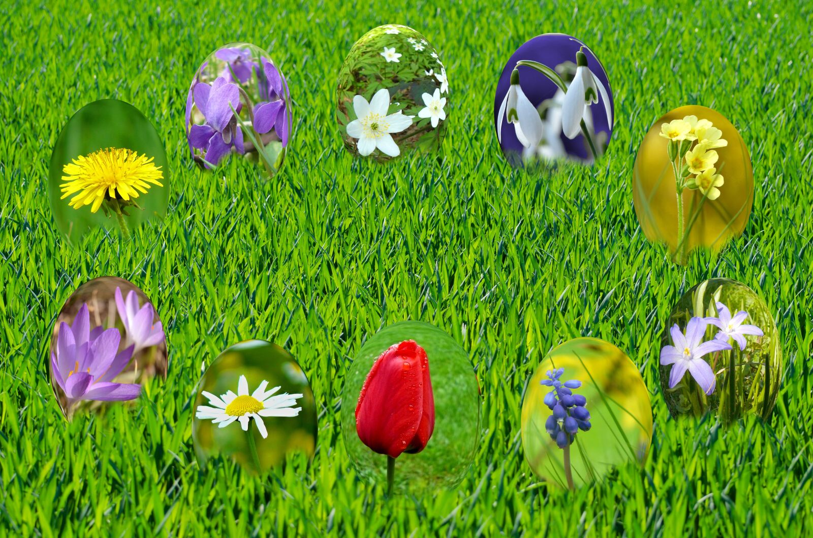 Nikon D5100 sample photo. Easter, eggs, spring photography