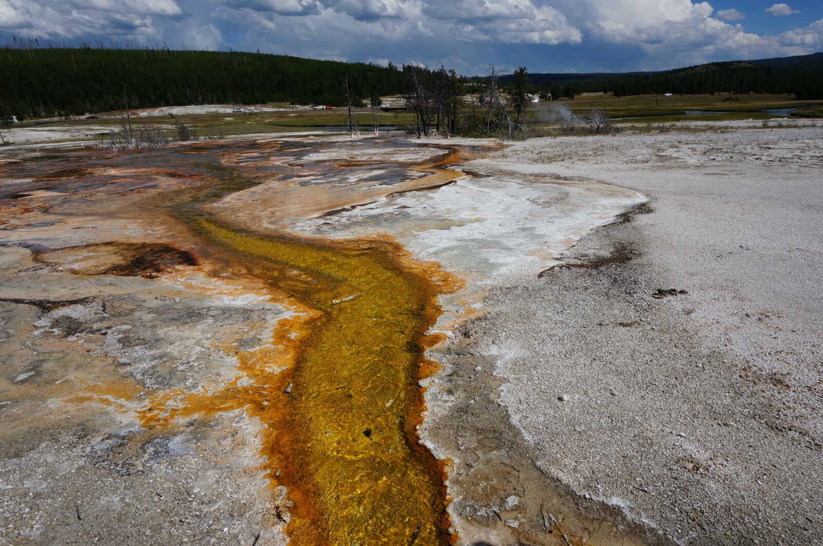 Sony Alpha NEX-6 sample photo. Yellowstone, geezer, park photography