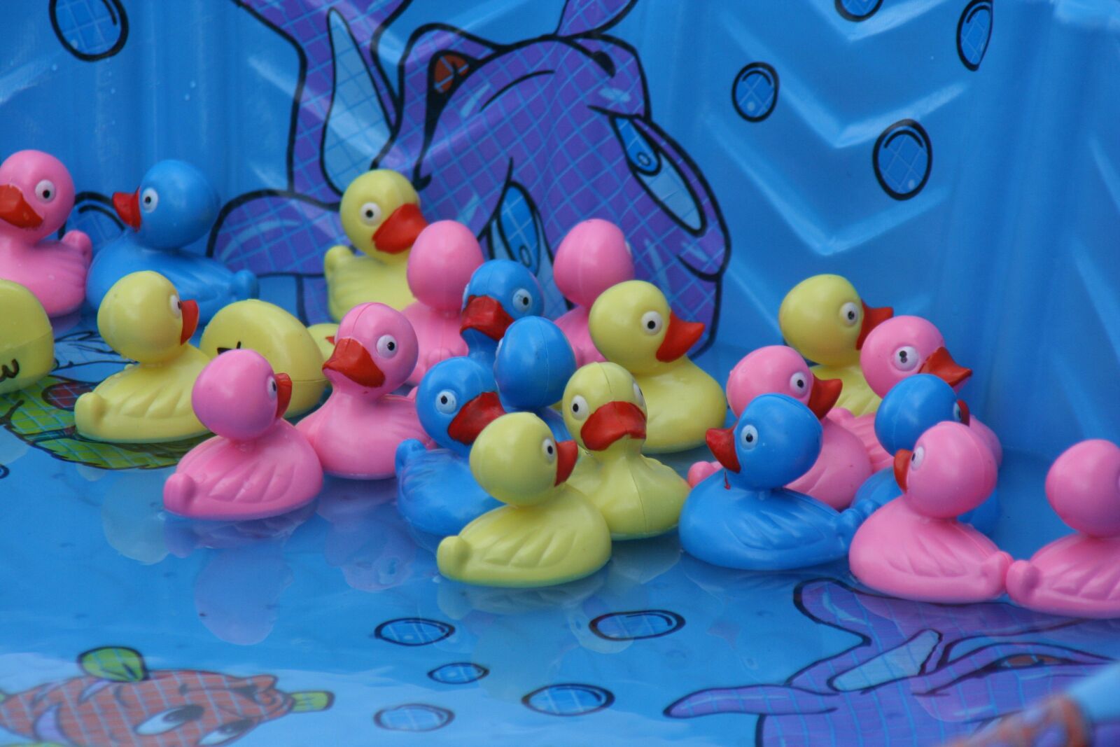 Canon EOS 350D (EOS Digital Rebel XT / EOS Kiss Digital N) sample photo. Duck pond, carnival, fair photography