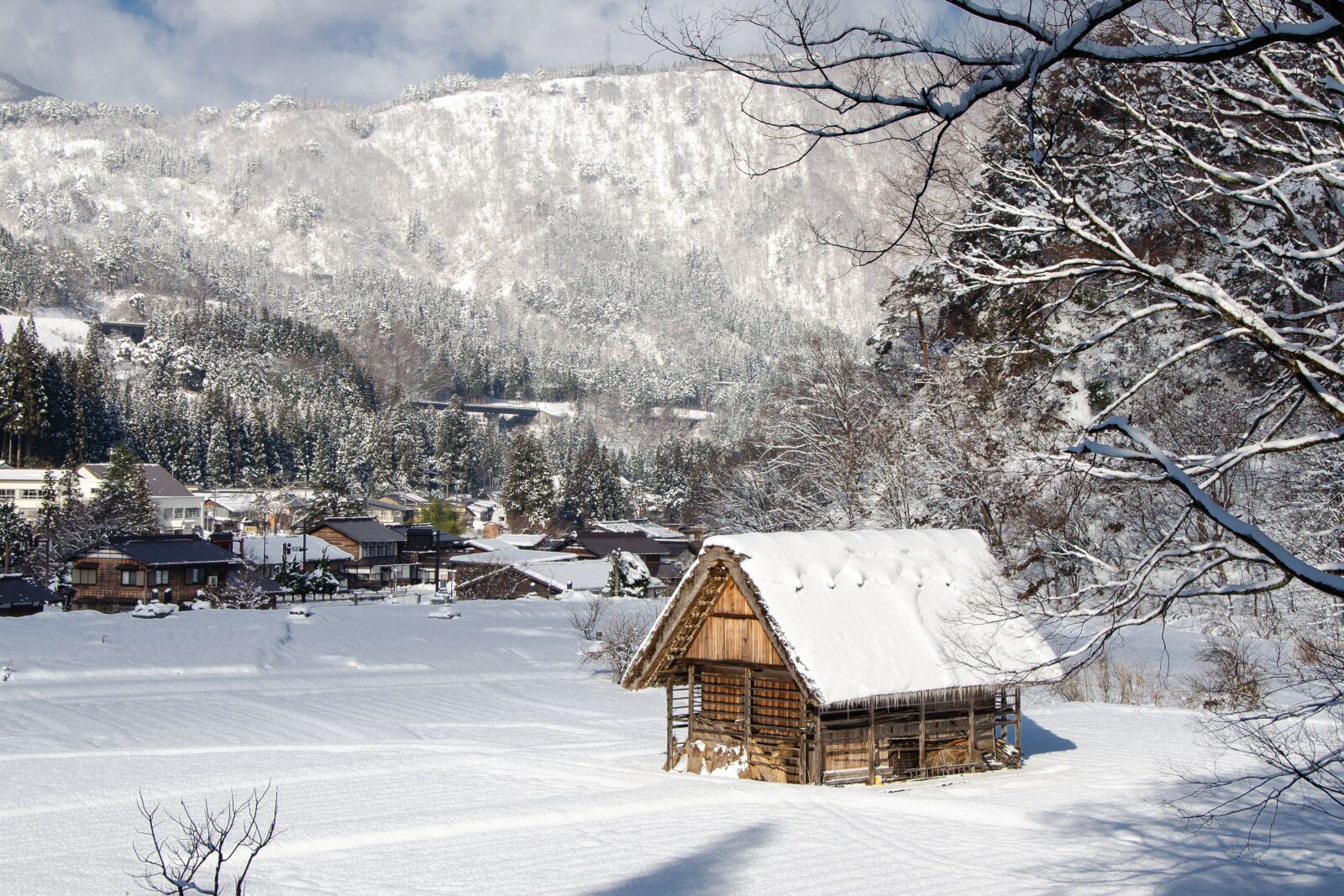 Nikon D5100 sample photo. Traditional, shirakawa-go, gifu photography