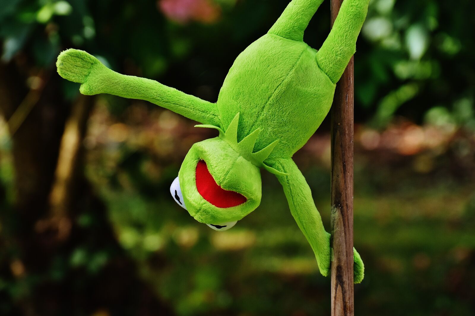 Nikon D7200 sample photo. Pole dance, kermit, funny photography