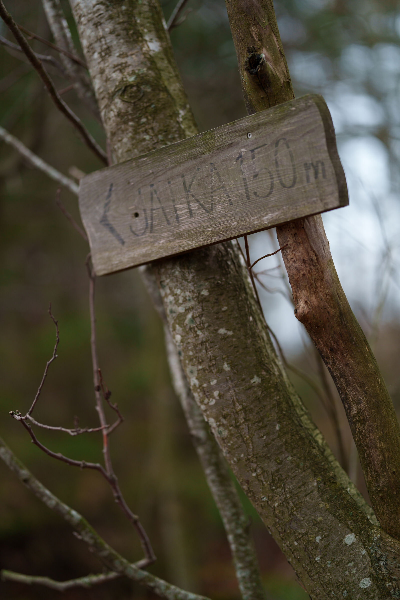 Sony FE 85mm F1.4 GM II sample photo. Continue 150 meters photography