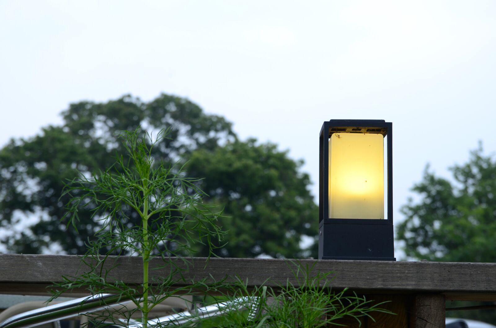 Nikon D7000 sample photo. Light, wood, lights photography