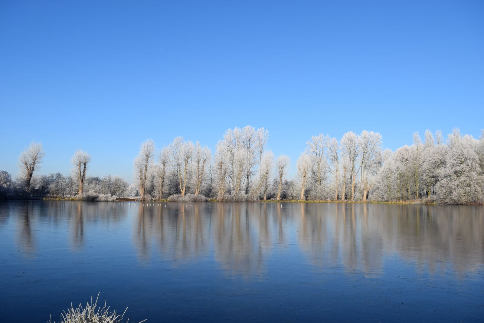 Nikon D3300 sample photo. Cold, winter, white photography