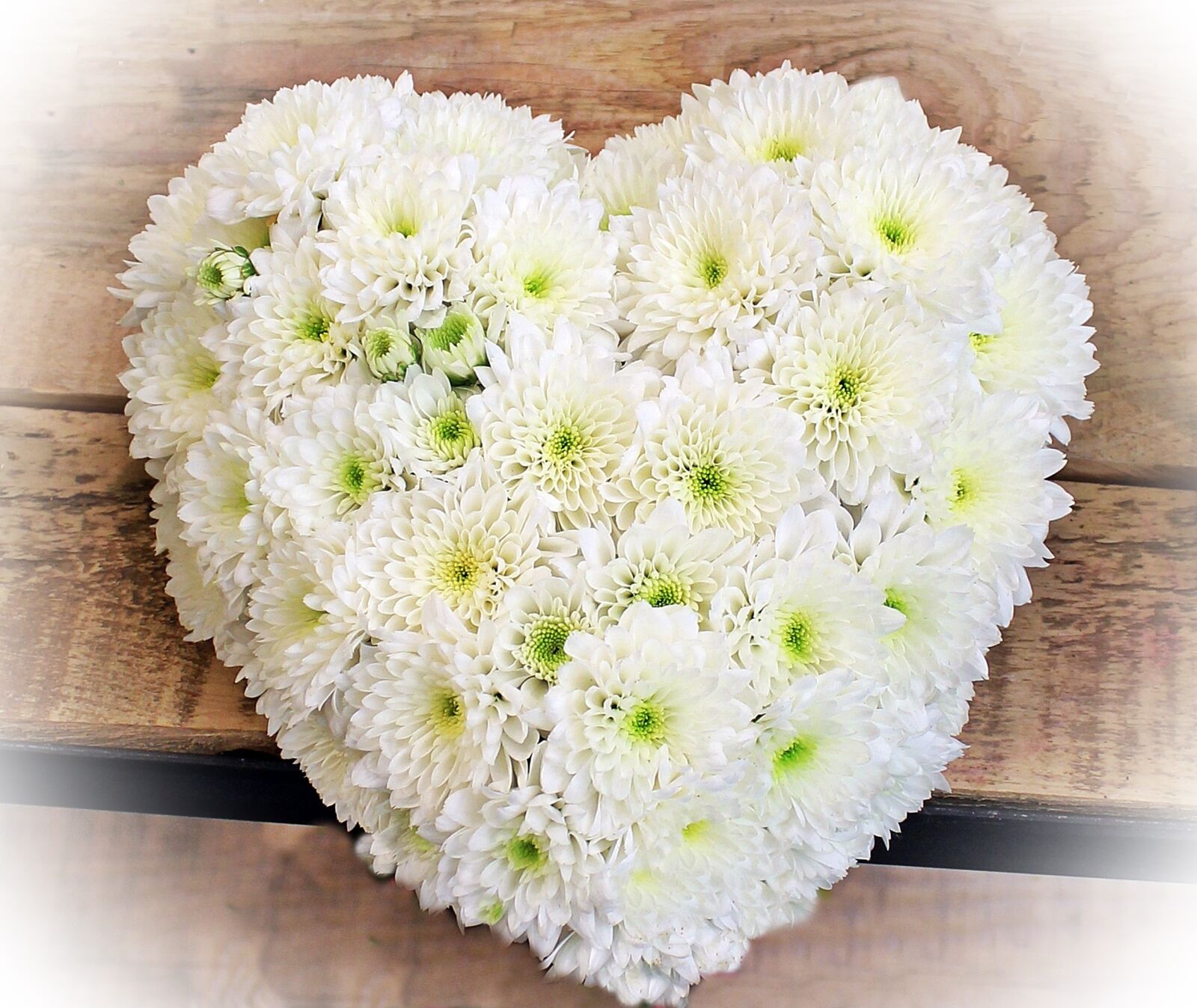 Canon EOS 550D (EOS Rebel T2i / EOS Kiss X4) sample photo. Love, heart, romance photography