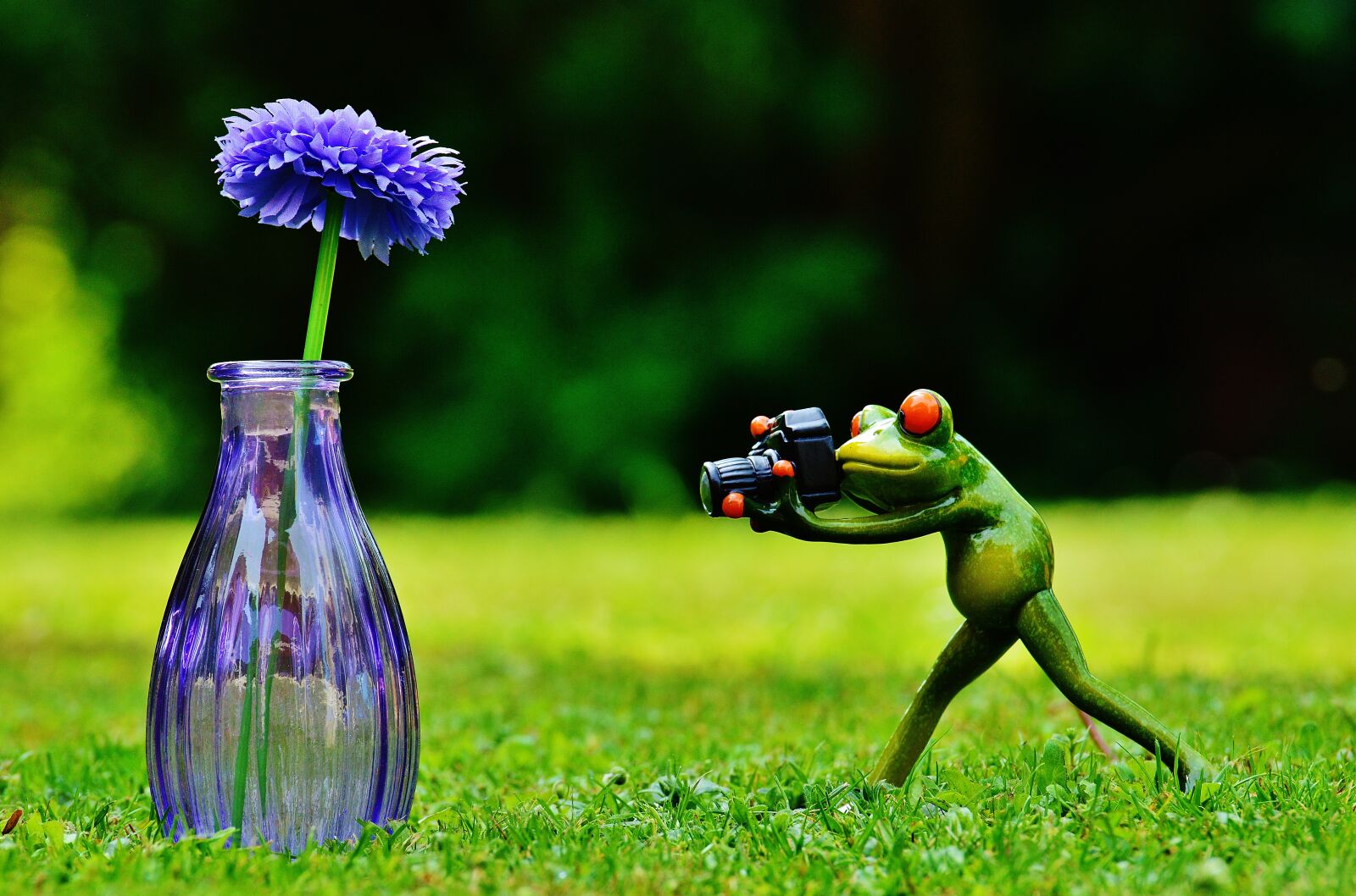 Nikon D3200 sample photo. Vase, flower, frog photography