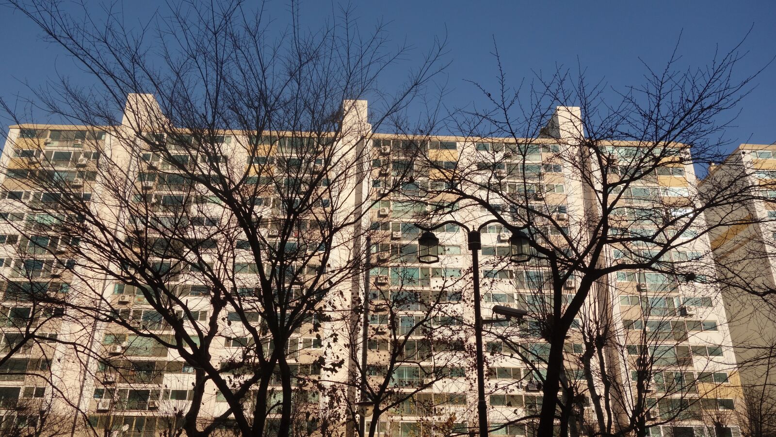 Sony Cyber-shot DSC-RX100 sample photo. Tree, apartment, apartments photography