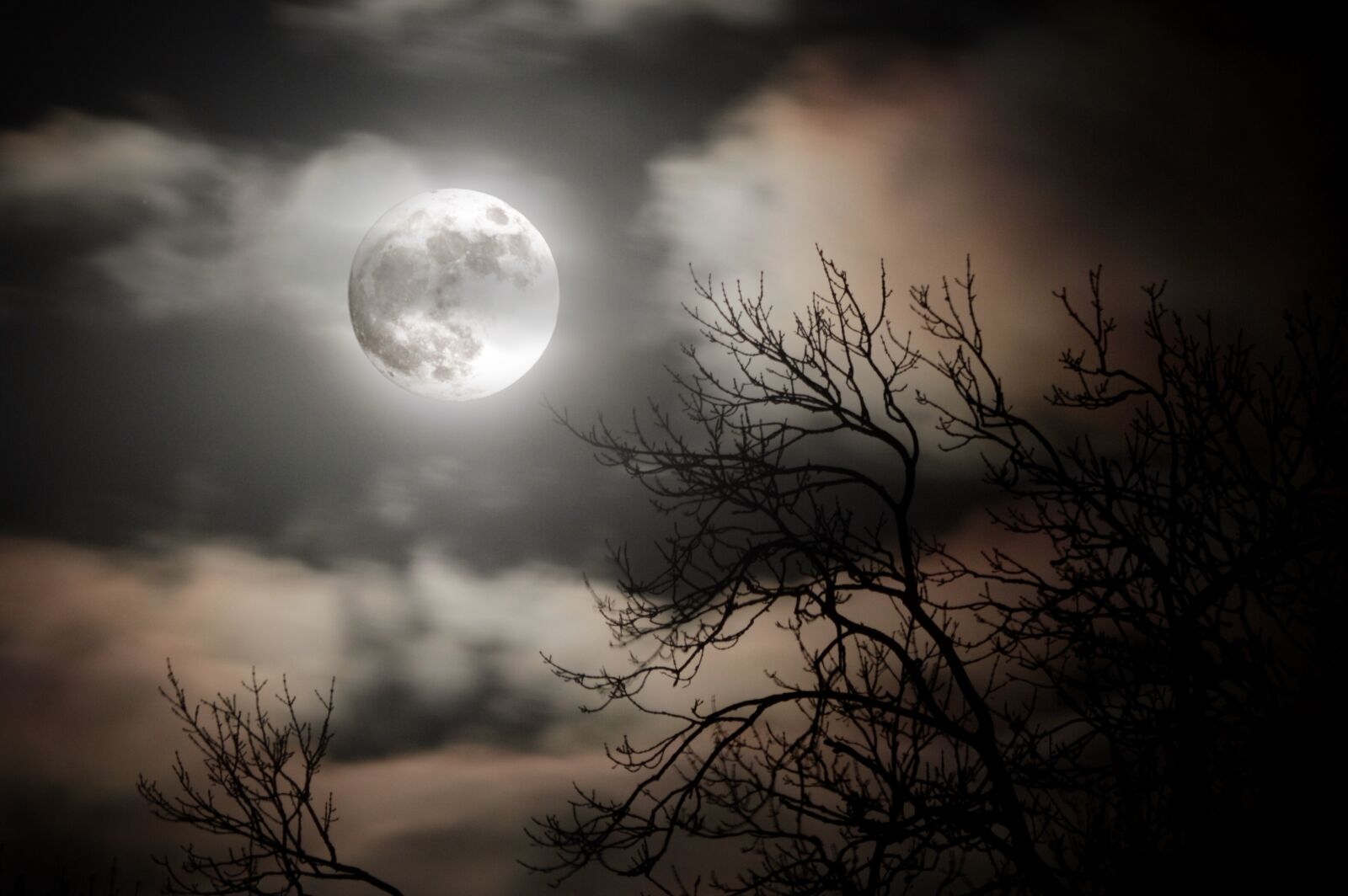 Nikon D3200 sample photo. Moon, sky, sunset photography