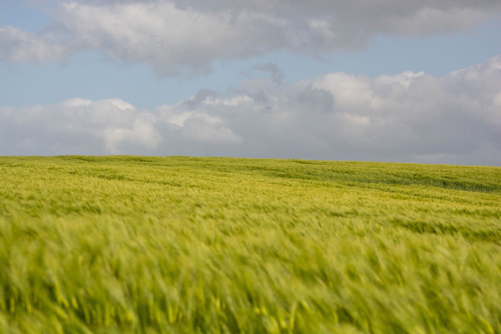 Nikon D7100 sample photo. Sky, countryside, field photography