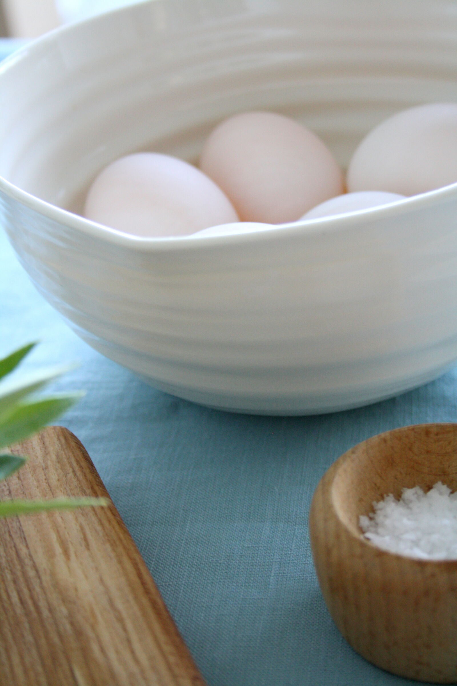 Canon EOS 1000D (EOS Digital Rebel XS / EOS Kiss F) sample photo. Bamboo, board, bowl, breakfast photography