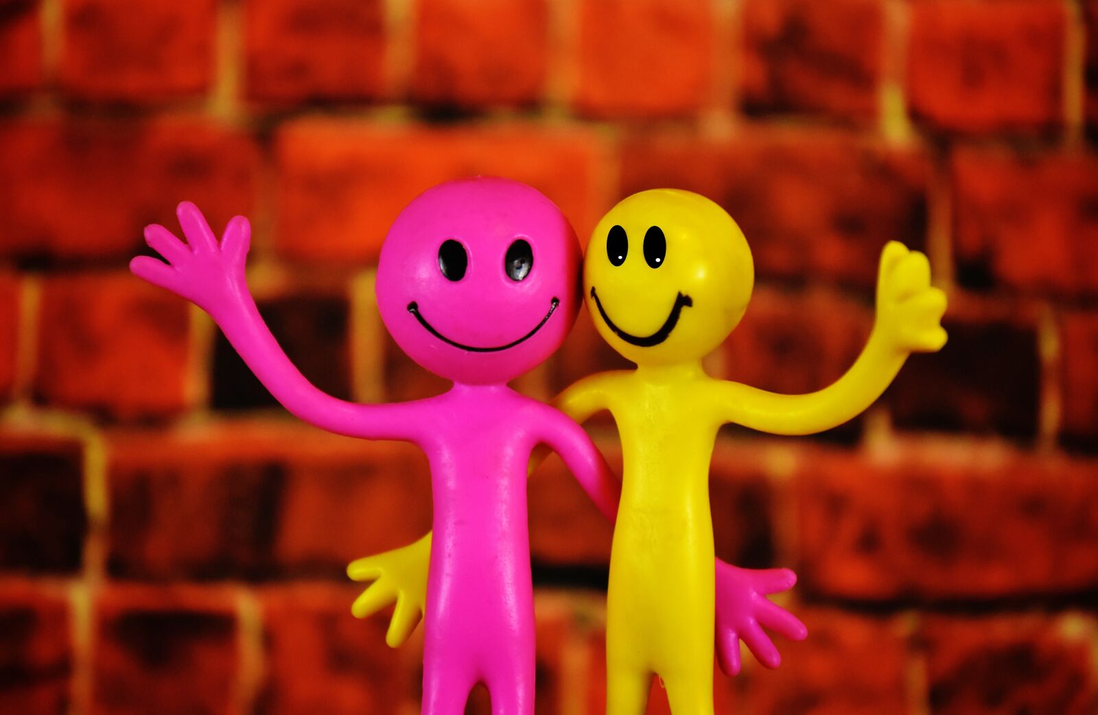 Nikon D7200 sample photo. Smilies, males, colorful photography