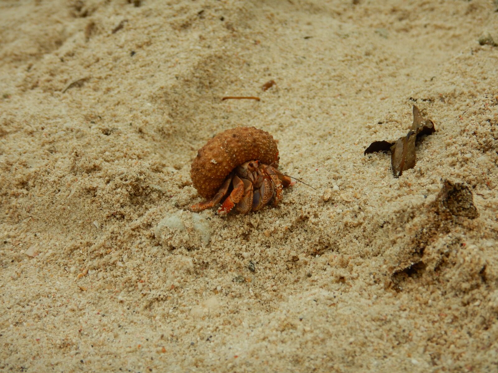 Nikon Coolpix AW130 sample photo. Sand, nature, beach photography
