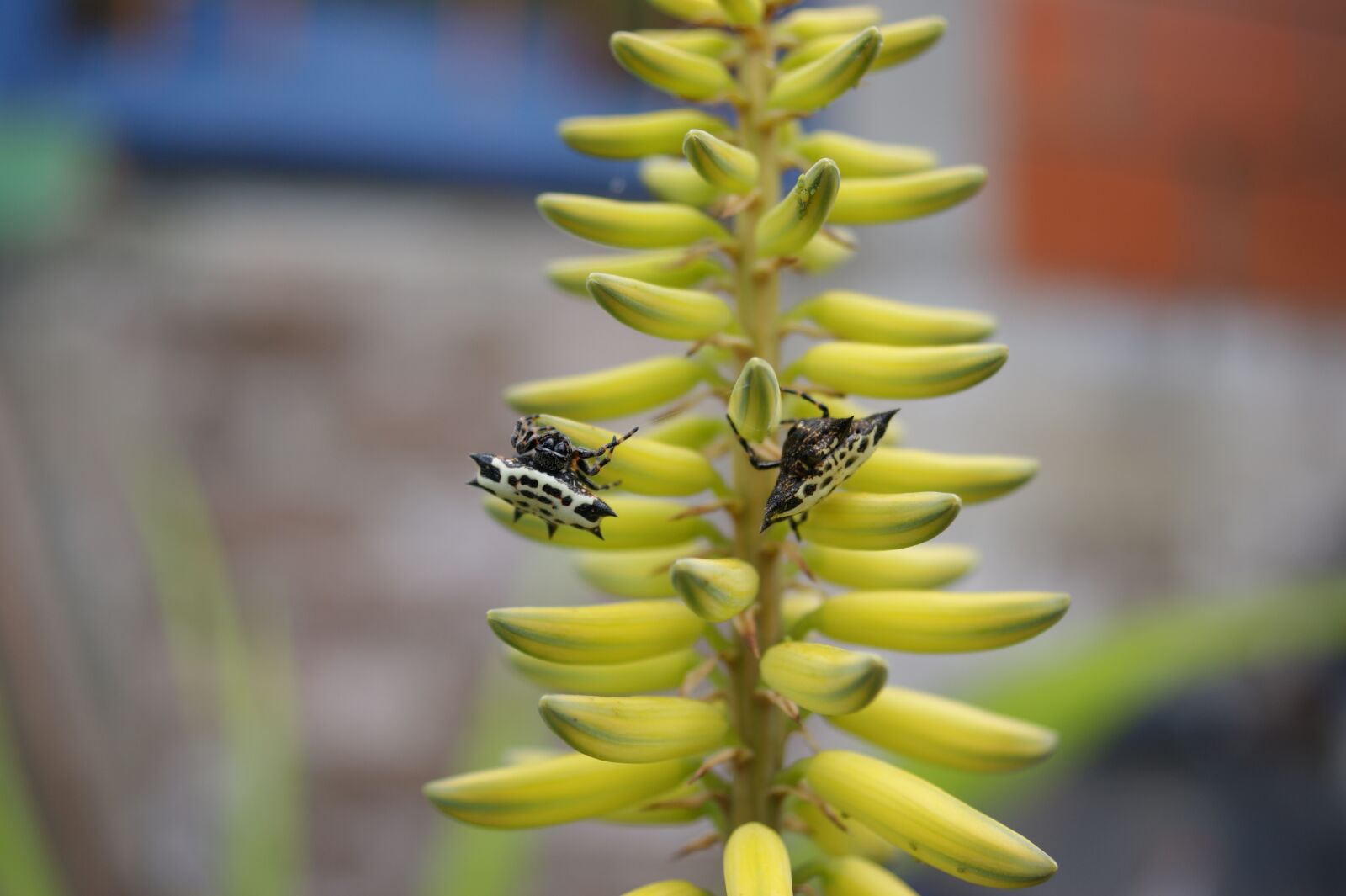 Sony Alpha DSLR-A390 sample photo. Nature, in, the photography