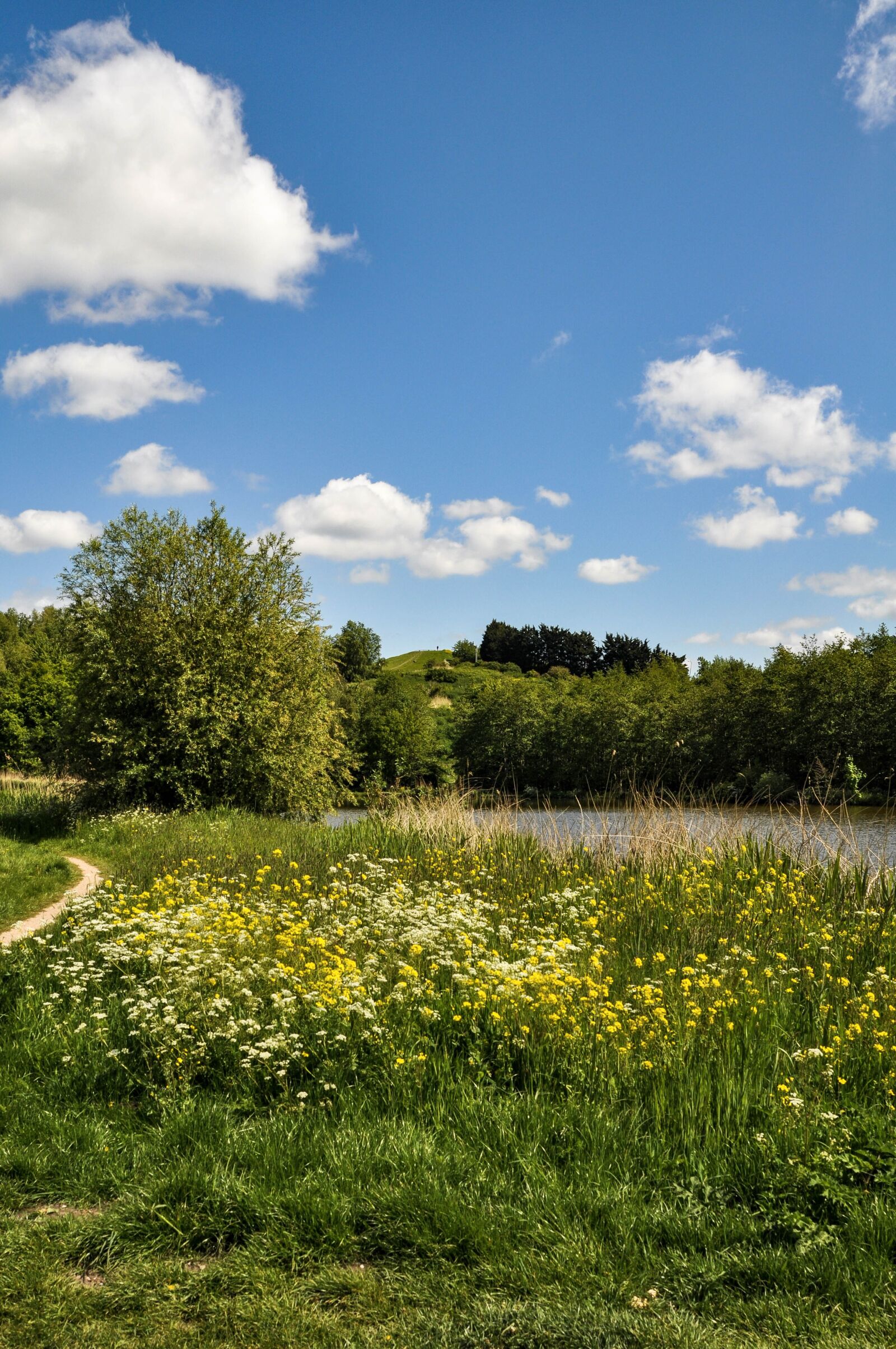 Nikon D90 sample photo. Trees, sky, nature photography