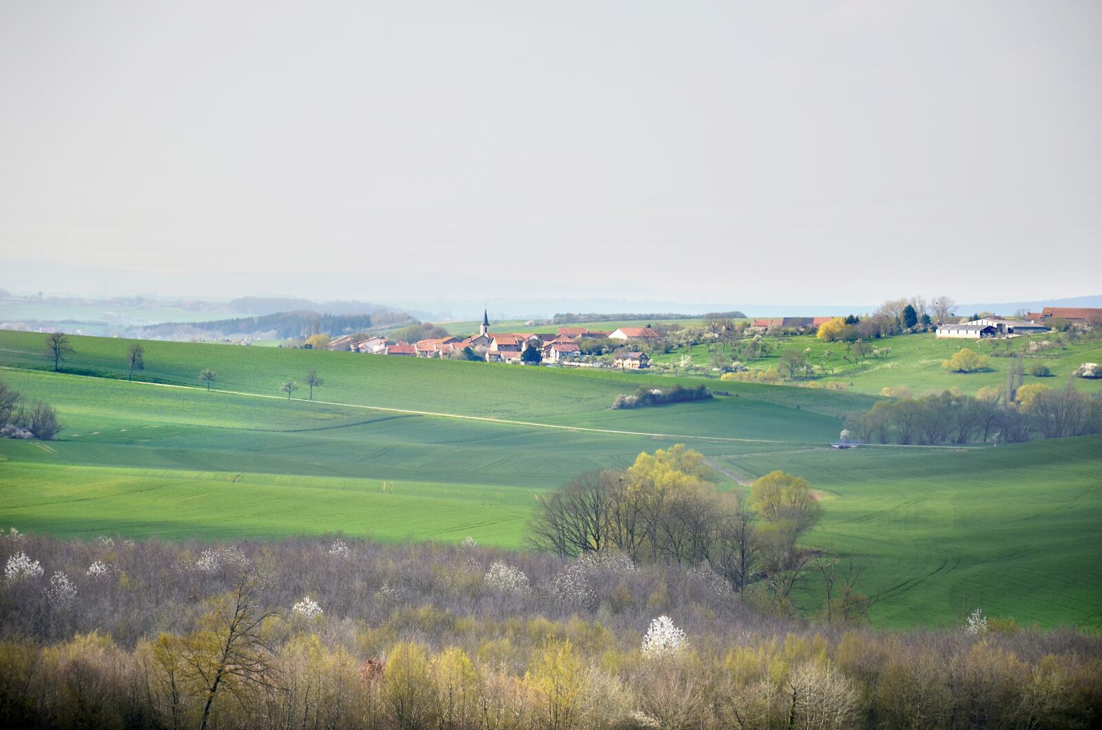 Nikon D5100 sample photo. Sustainable development, landscape, environment photography