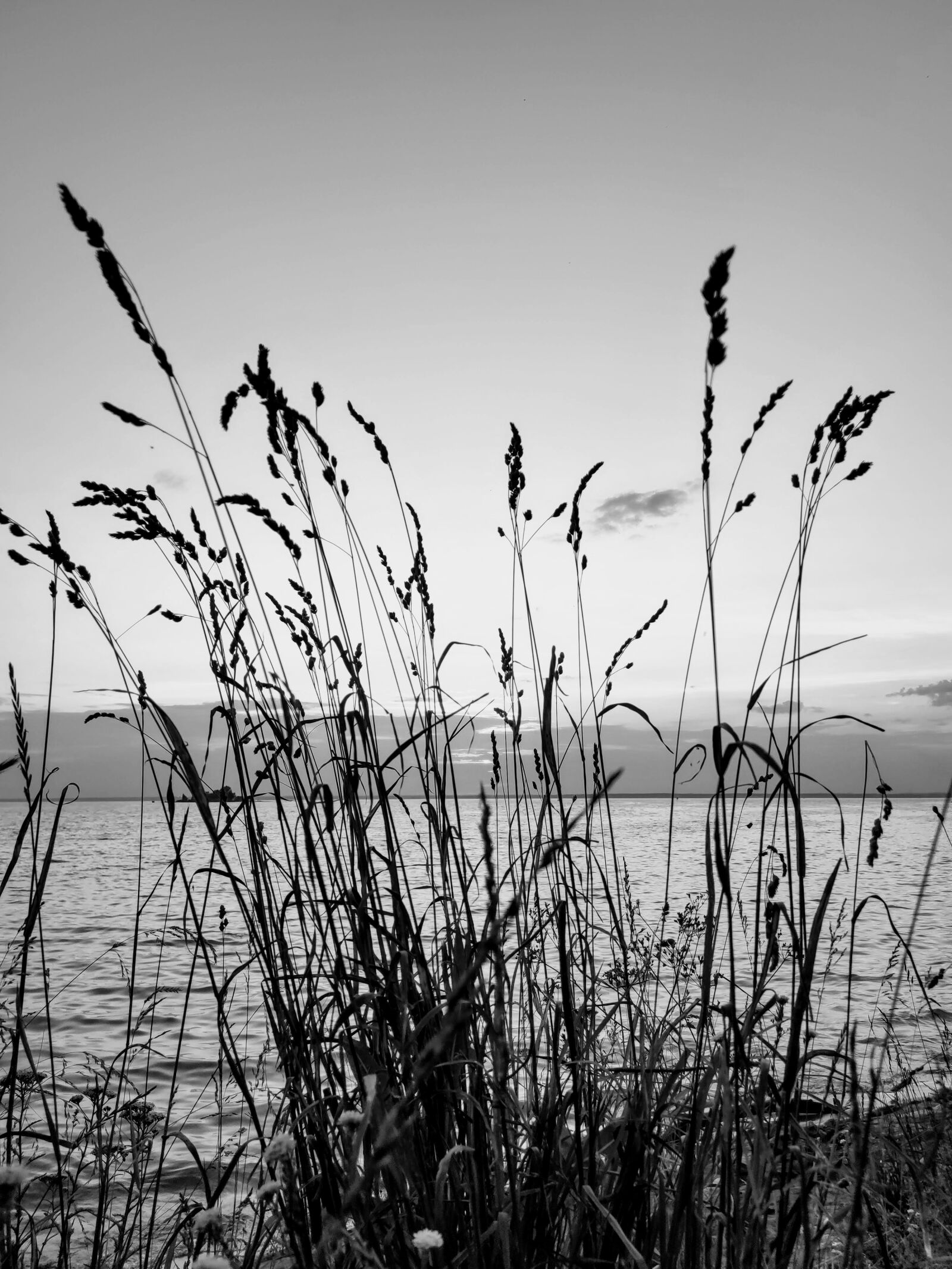 Xiaomi MI 9 sample photo. Nature, water, sea photography