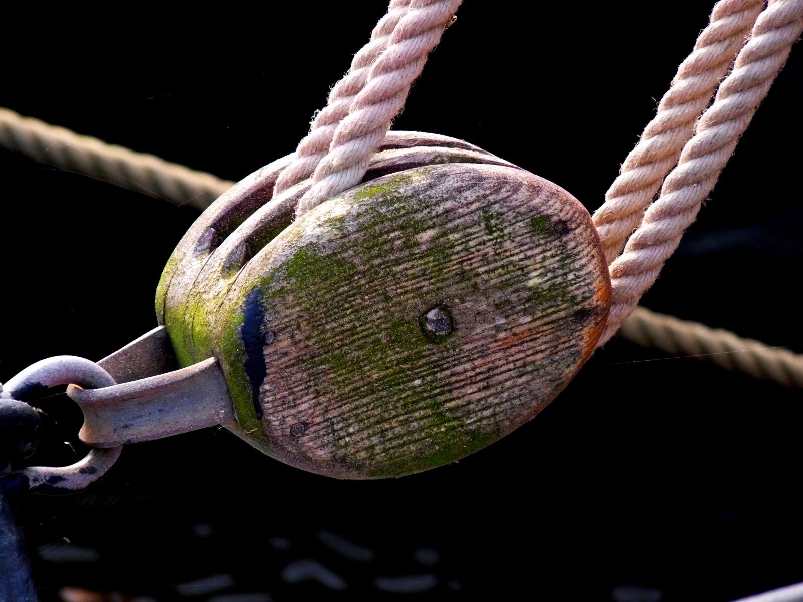 Panasonic Lumix DMC-FZ28 sample photo. Maritime, dew, rope photography