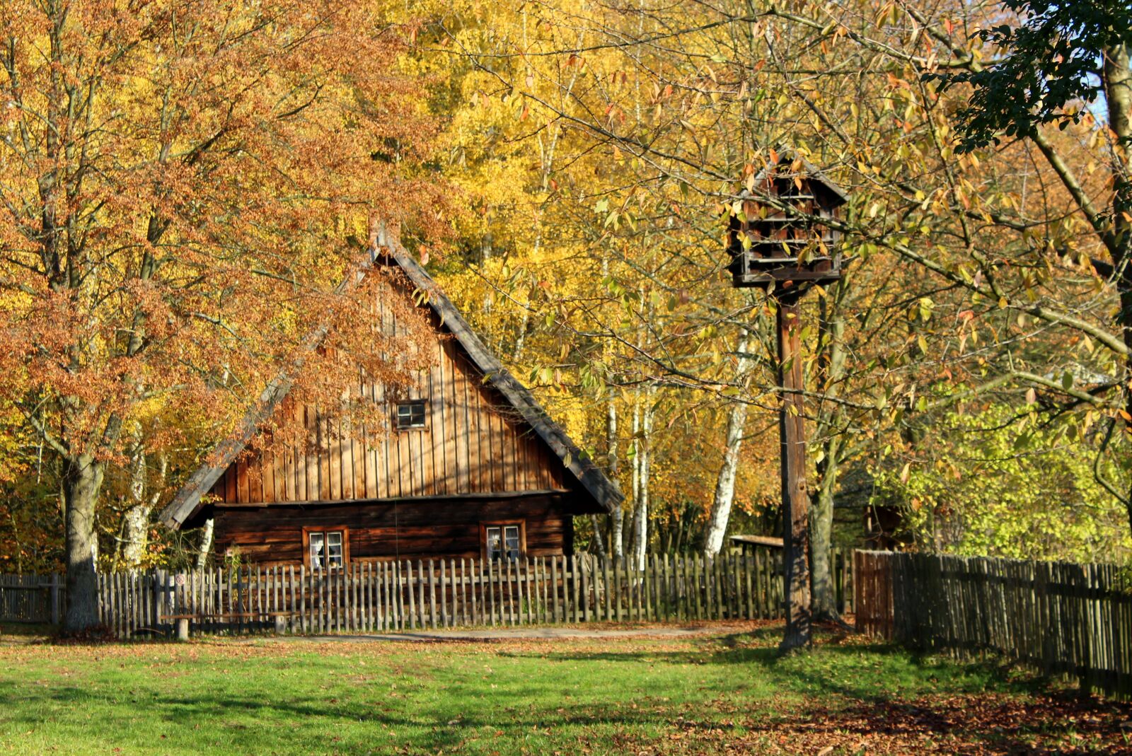 Canon EOS 1200D (EOS Rebel T5 / EOS Kiss X70 / EOS Hi) sample photo. Cottage, village, autumn photography