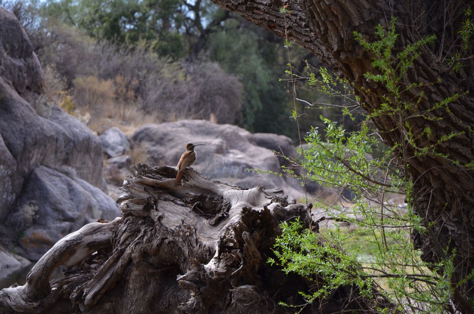 Nikon D7000 sample photo. Nature, mountain, scenic photography
