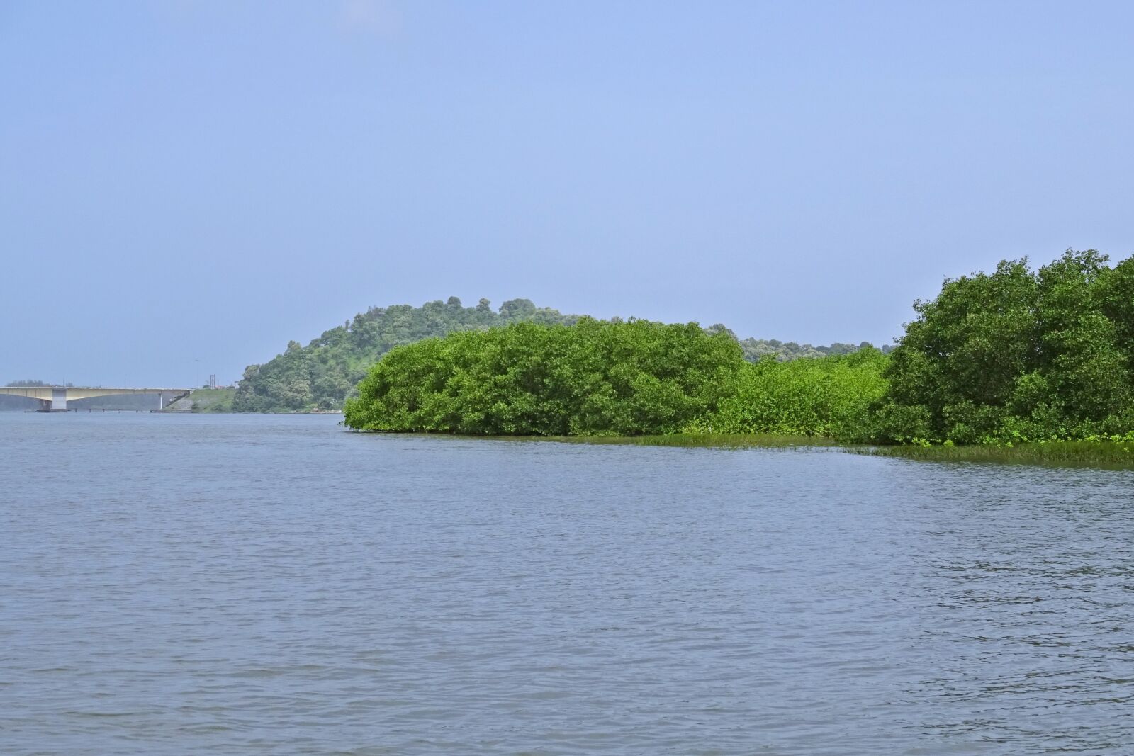 Sony DSC-HX60V sample photo. Forest, mangroves, estuary photography